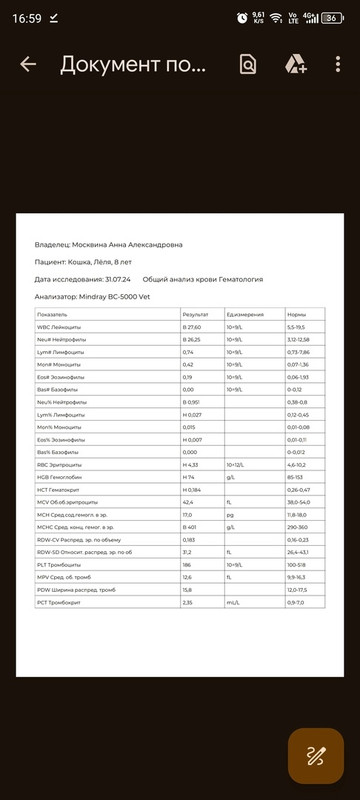 кошка кровь общий