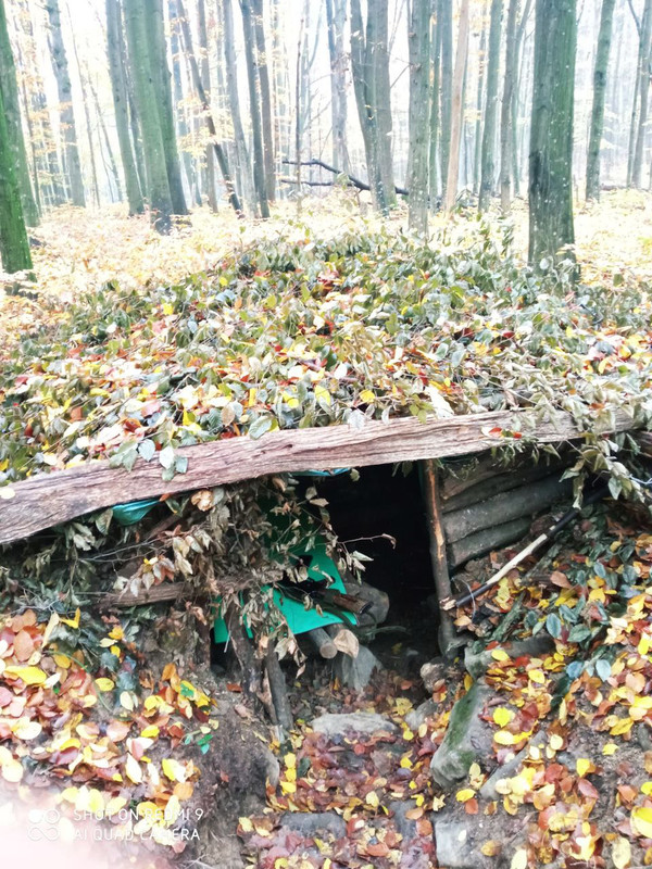 IMG-d6d8747bf0c577fd652f0ae31dcfaf58-V.j