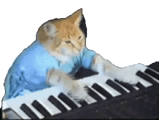 Piano Cat