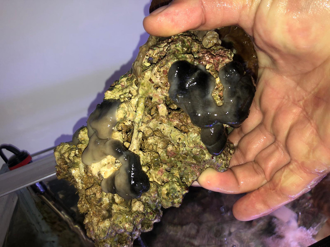 WhatsApp Image 2022-06-05 at 15.20.25 (1)