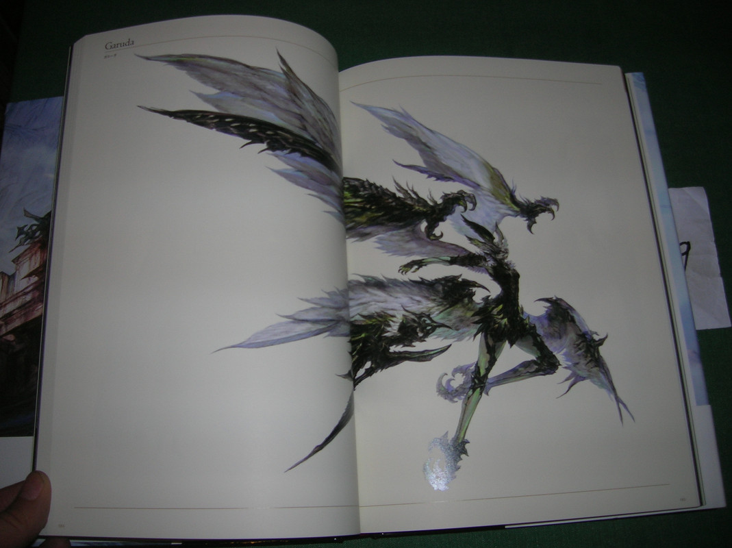 Collection à thème: Final Fantasy  DSCN7551
