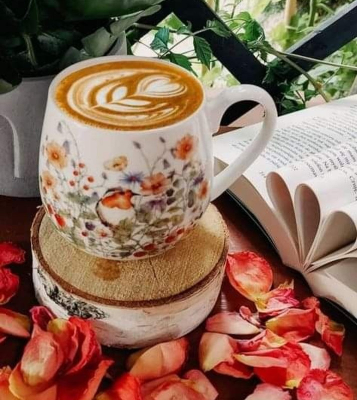 Screenshot_20221213-210744_Chrome