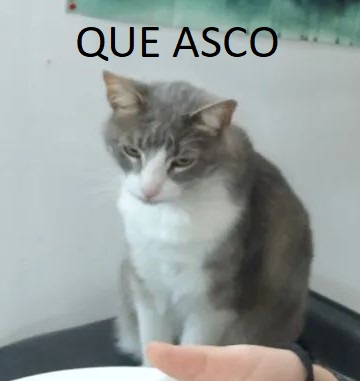 q6FtHun.jpg