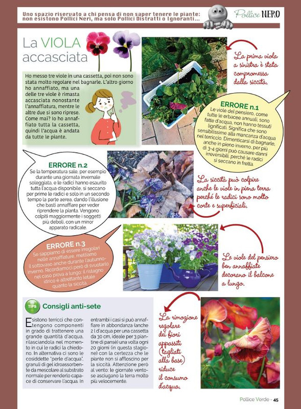 Pol Ver Gen 2023 (8)