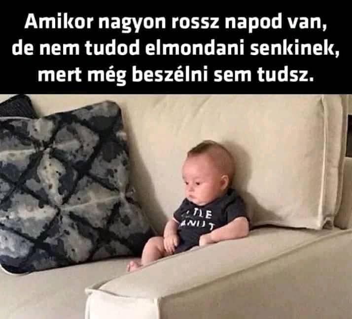 https://i.postimg.cc/tg5XCWWQ/amikor-nagyon-rossz.jpg