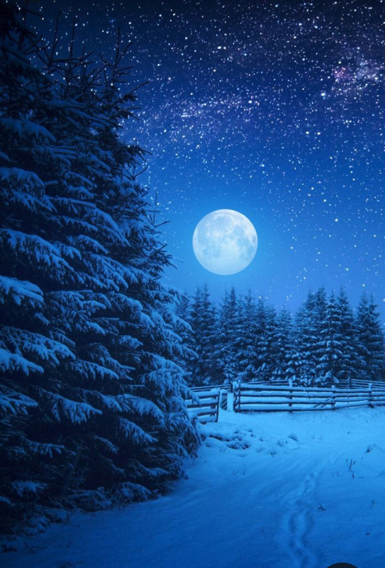 Screenshot_20240113_234326_Pinterest