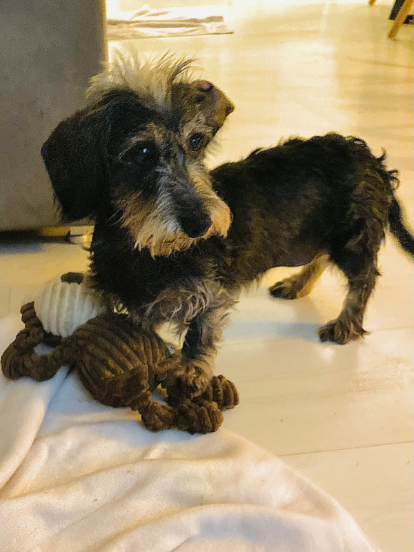 [Image: Full-Size-Render.jpg]