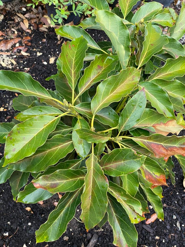 1F73F5B4-0492-4282-BCE3-E75BE548EE97