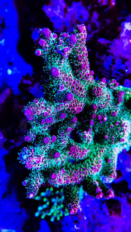 FFFD0C40-573E-4F00-ACDA-F350523C88A1