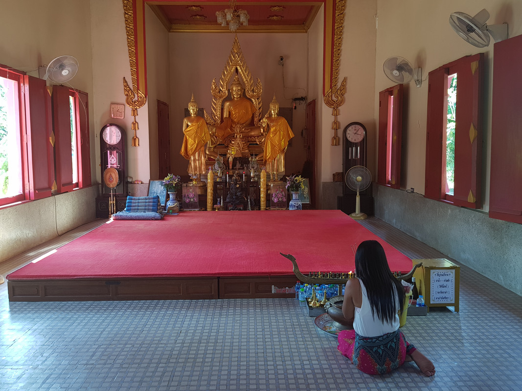 [Bild: Tao-Noi10.jpg]