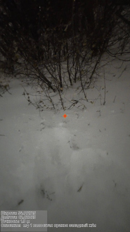 photo 2 2025 12 18 20 52 13