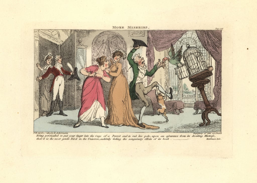 Thomas-Rowlandson-Man-being-attacked-by-a-parrot-and-cat-in-a-drawing-room-Meister-Drucke-941212