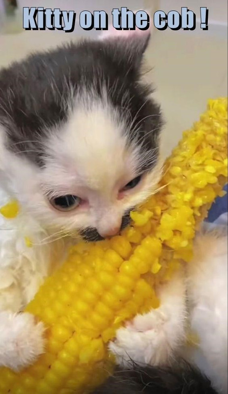 111