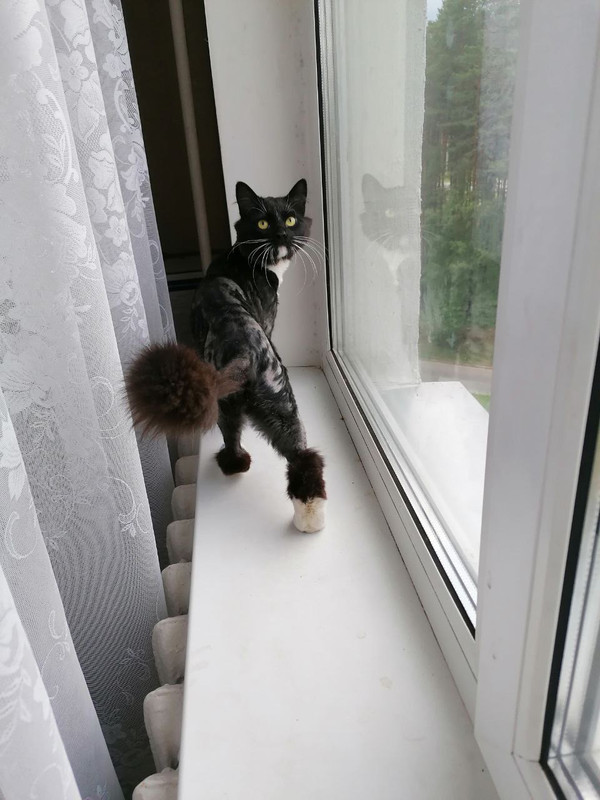 58F41248-150E-4970-A872-5812AB86AB32