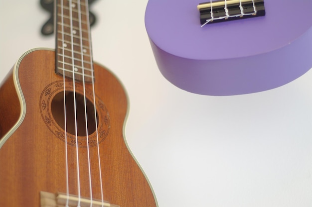 strings for the ukulele
