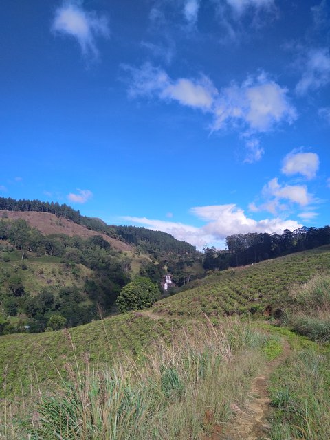IMG-20230204-091533.jpg