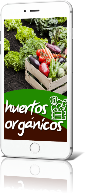 Curso en iPhone