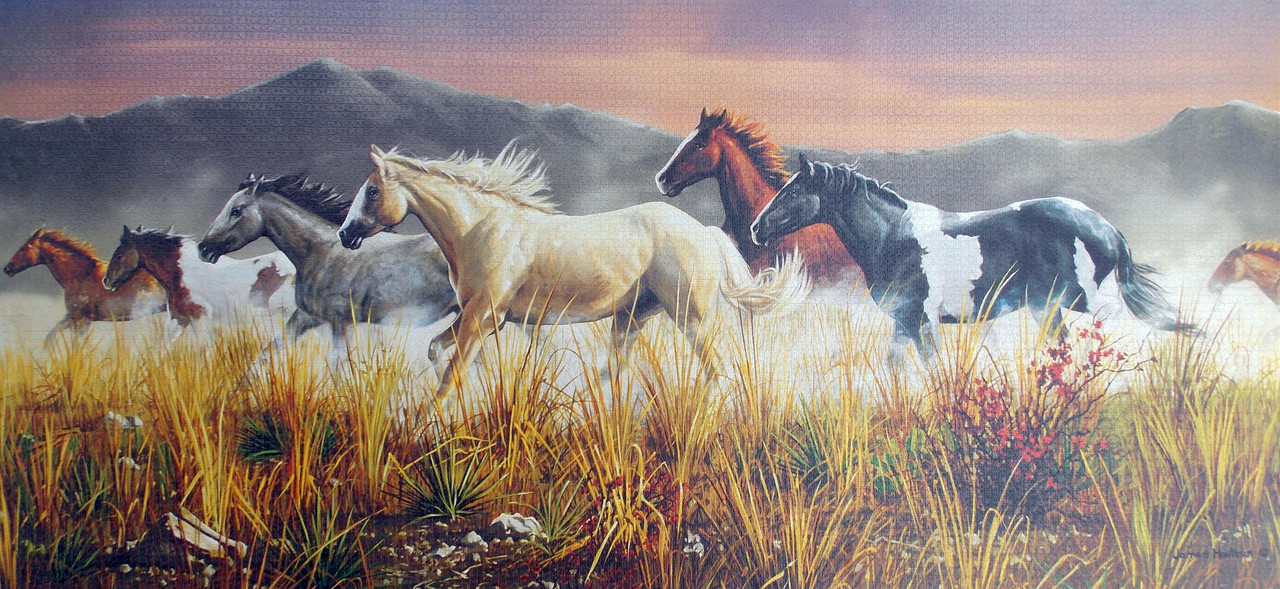 BandOfThunders13200Clementoni