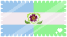achilleamoric