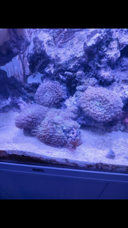 9CB6282E-59B9-457A-9AF6-DBD250864B24