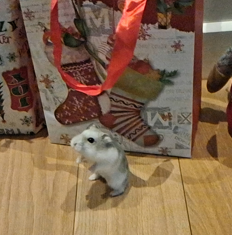 Screenshot 20251225 145714 Gallery