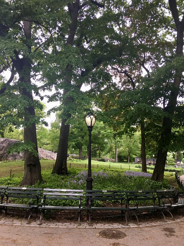 78C35816-6FF4-46C0-AE51-522C9541152E