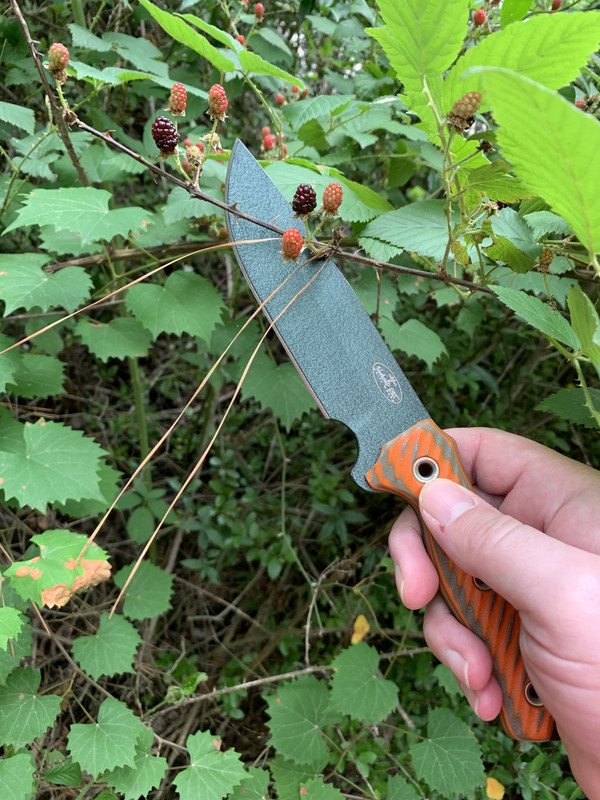 A05A12A8-1F3A-47C5-857D-E9008F7BB165