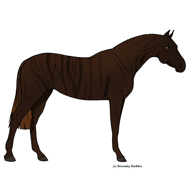 Untitled456-20240514132956.png