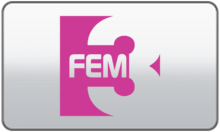 FEM3