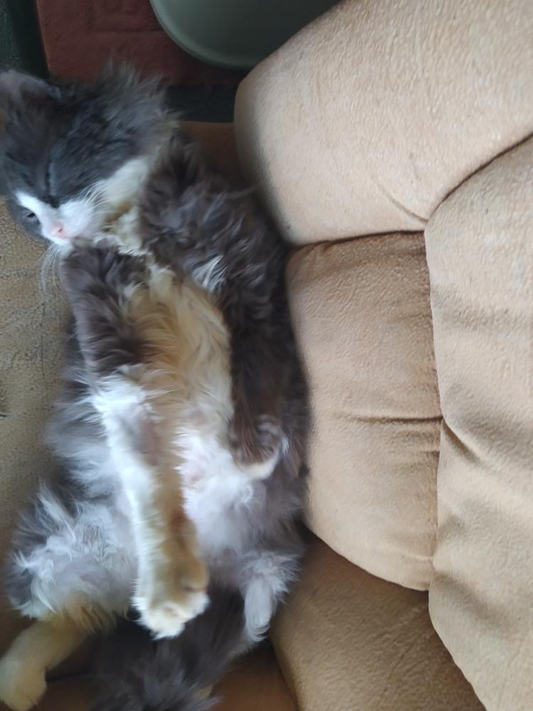 7CBDCBB6-3AD8-4F9E-883B-72D3E3034B75