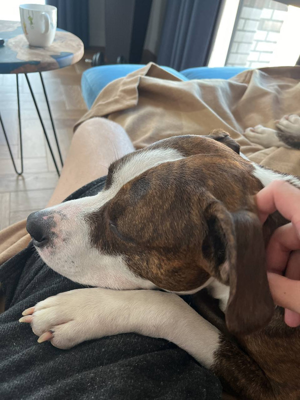 5B2CC7EC-477F-47B7-8C38-9CED7FDBB763