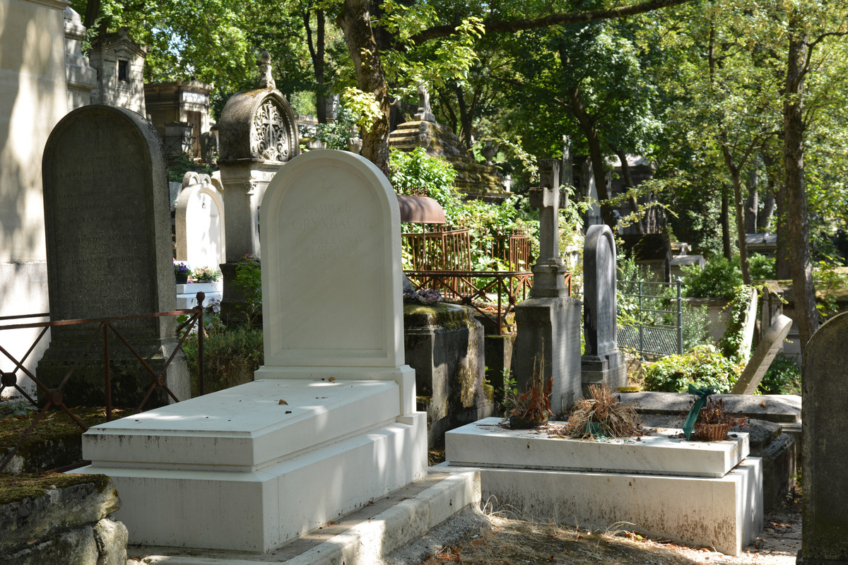 02.03 - DSC_7274 (Ater)