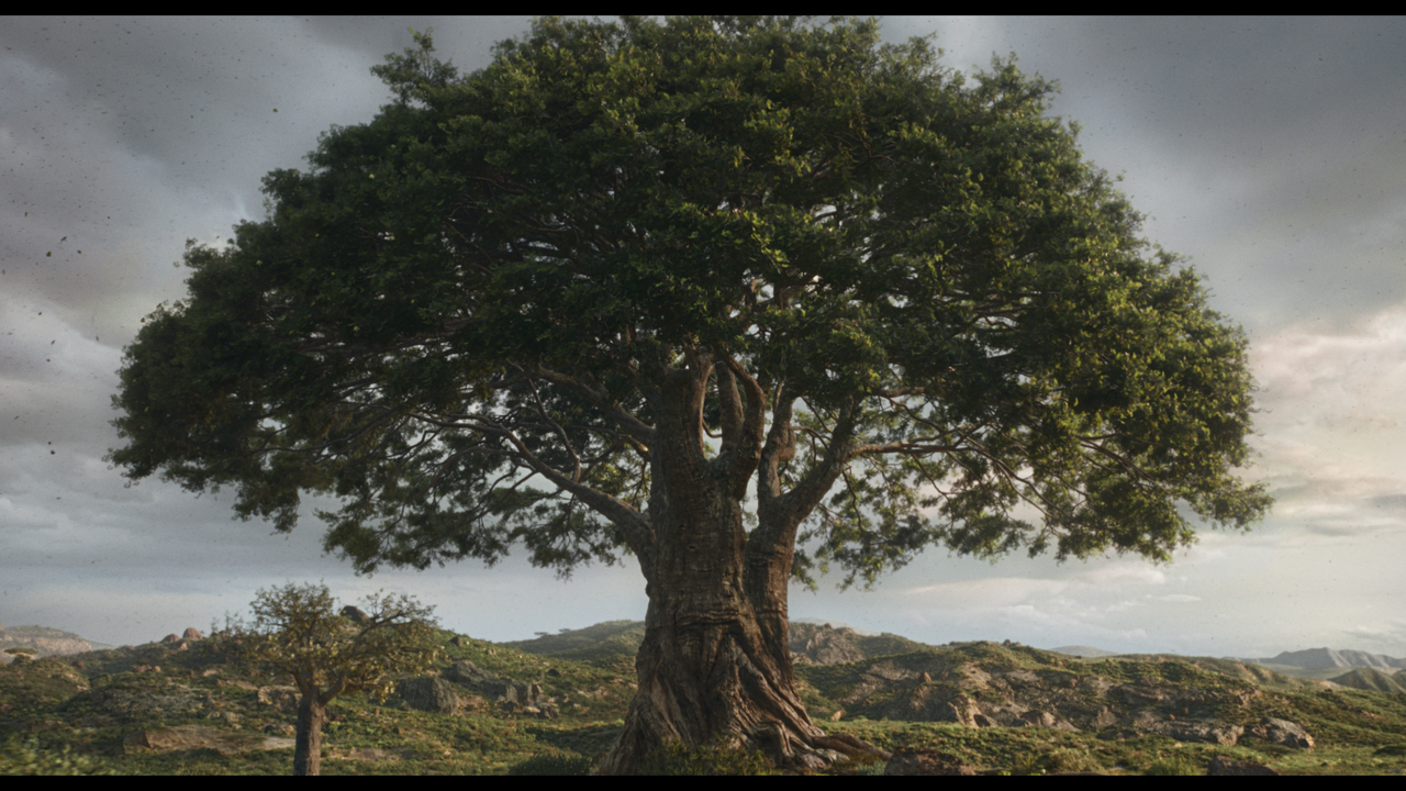 mpv-shot_MUFASA.THE.LION.KING.2024.2160p.UHD.BDRemux.HDR.DV.HEVC-Нечипорук_00_06_59_0004