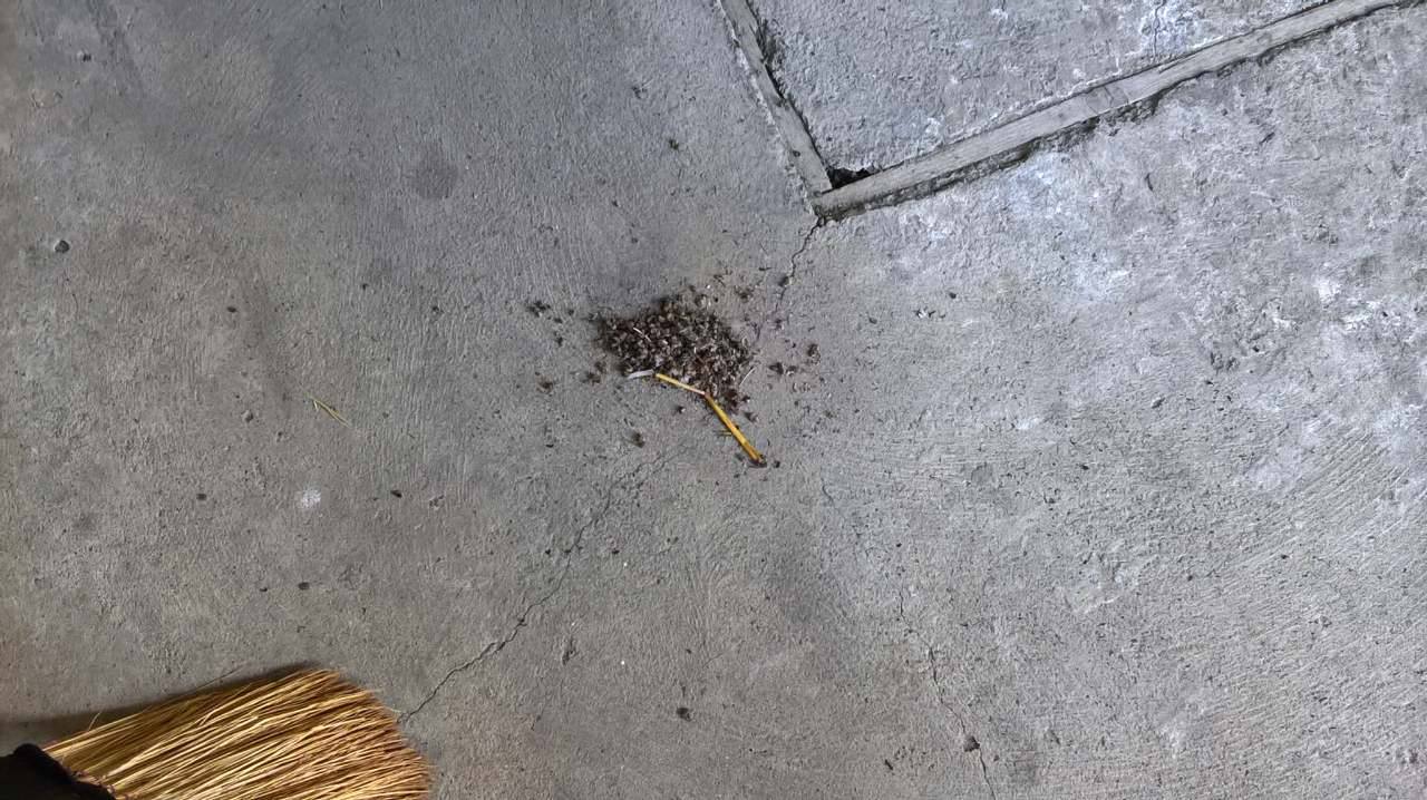 20622619_358926827860357_893005538_o