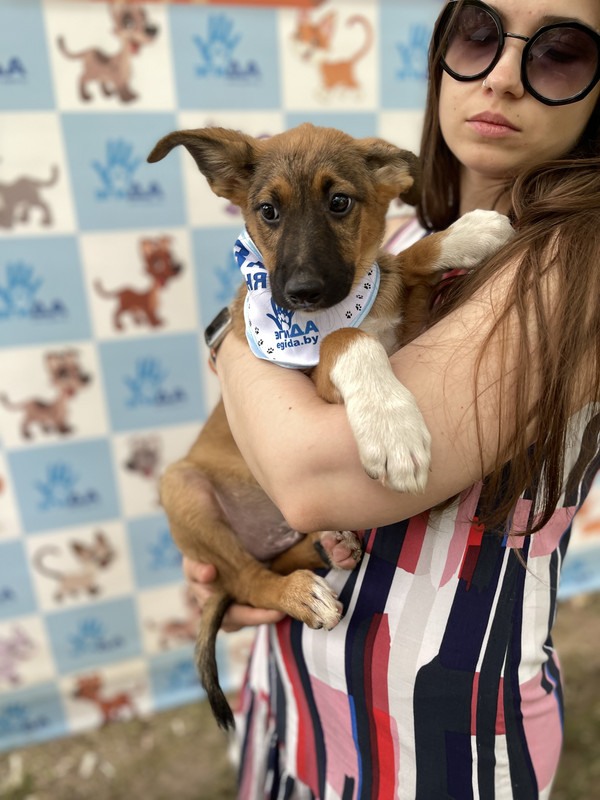 F1A89720-603D-4283-98FC-995149D1ACEC