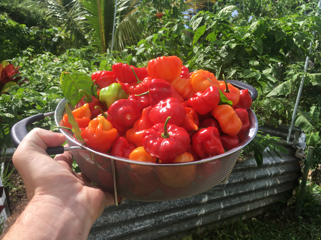 442E6F4F-EEAE-4385-AD5F-EFB2F3630581