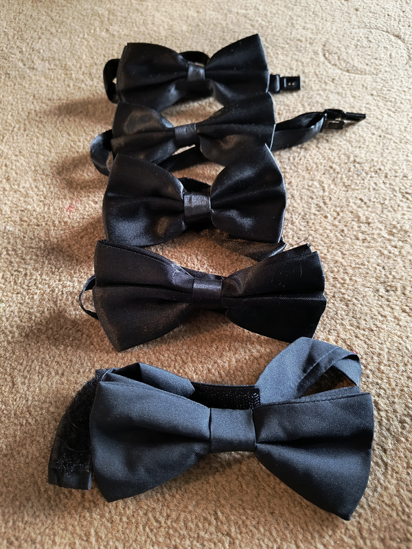 Black Bow Tie x 5