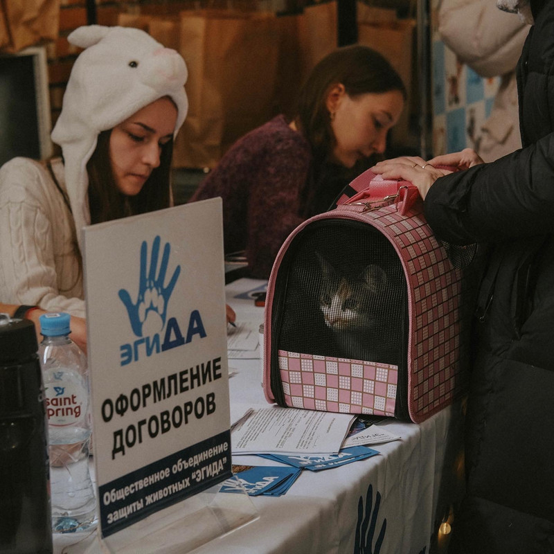 5FB6771B-78CD-46AA-ABAA-E420B53345F6