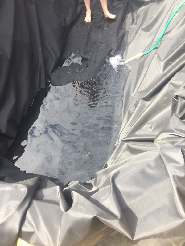 2E1F3739-FF94-4459-8E00-1373E0CB6138