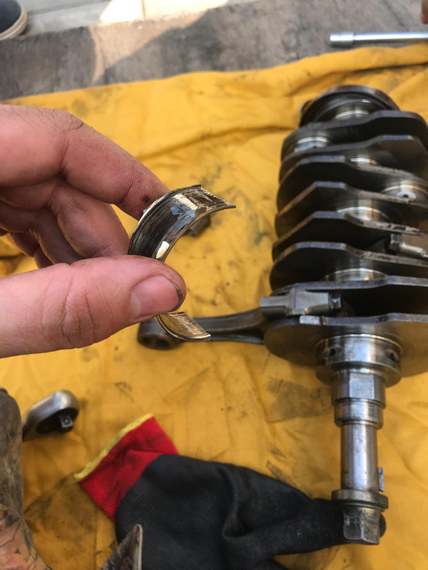 WhatsApp Image 2019-04-04 at 10.07.20 (1)