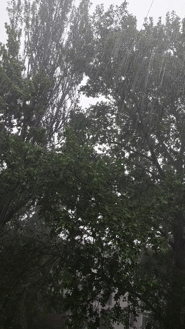 20210529-141942-1.gif