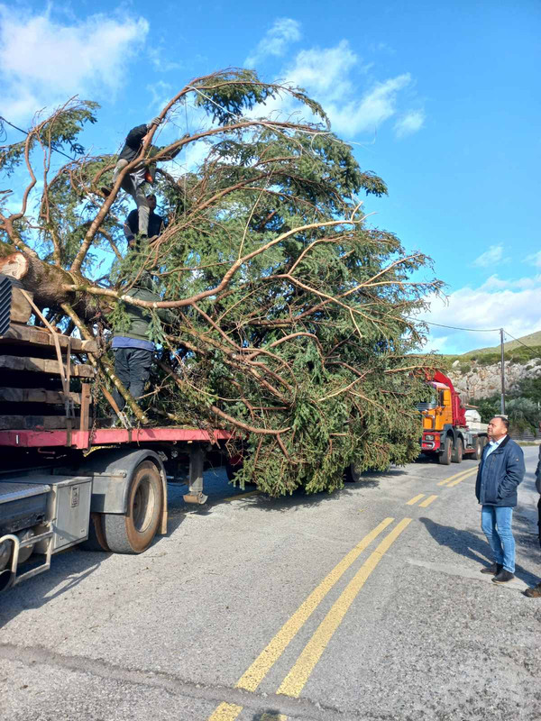 εικόνα_Viber_2024-11-23_14-27-19-787