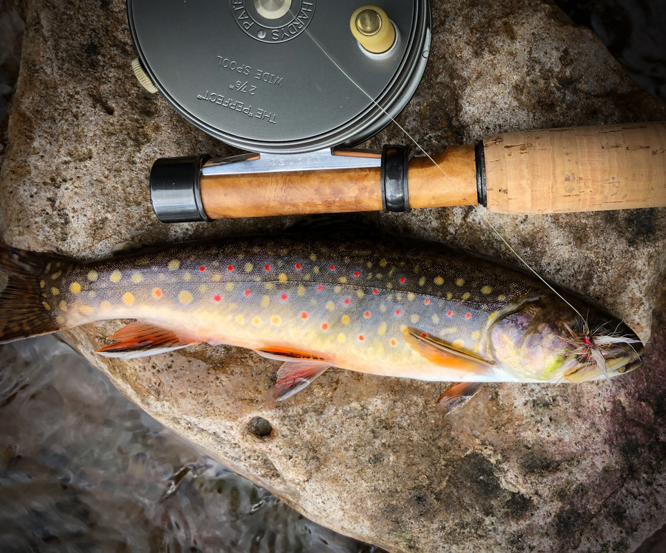 3.21.2020 Ramseys Draft (37)