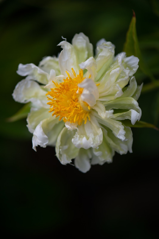 IMG-fbd4a684b38871b4a68e90a634a02d02-V