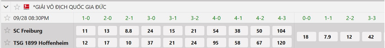 Tỷ lệ tỷ số chính xác Freiburg vs Hoffenheim