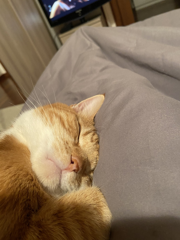 B12B698C-A11B-459D-8D5A-5C142A9B399D