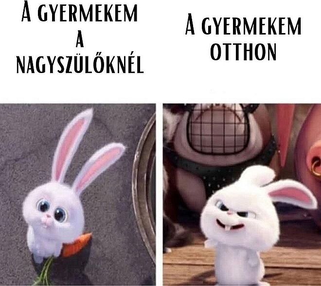https://i.postimg.cc/tgBzKTJp/a-gyermekem-a.jpg