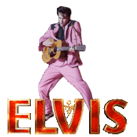 ezgif-com-gif-maker.gif