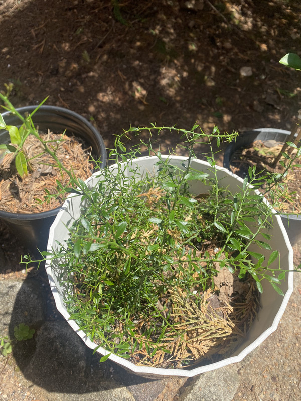 AA51A021-F418-4F13-9AE7-A66AD46A25A8