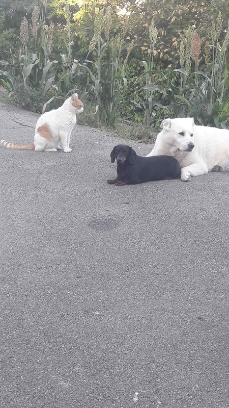 [Image: IMG-20230912-182057-258.jpg]